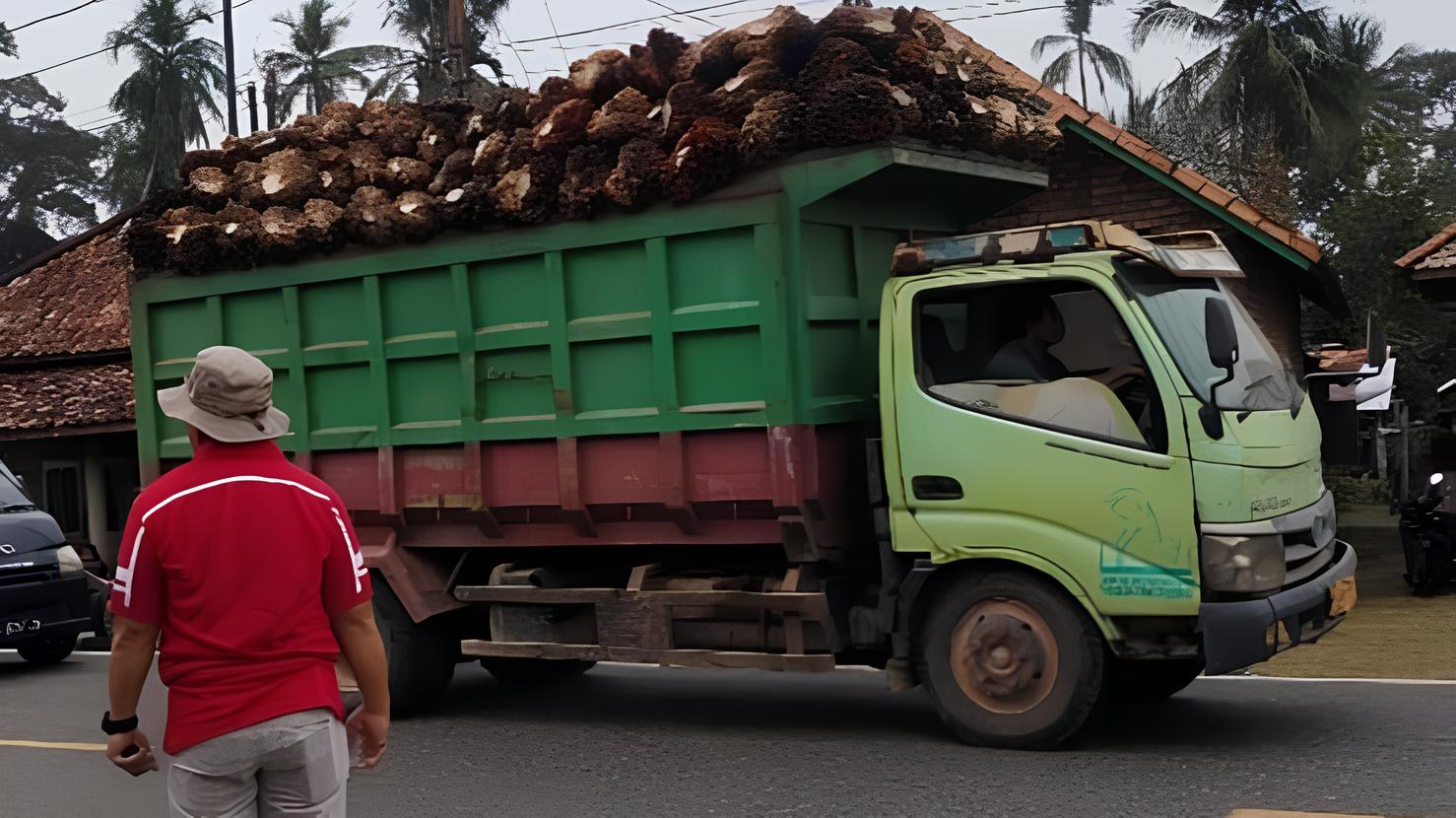 Truk Batu Bara dan Sawit Dilarang Masuk Kota Bengkulu Mulai 24 Maret 2025, Dishub Siapkan Pos Pengamanan