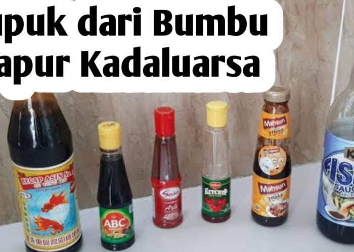 Bumbu Dapur Kadaluarsa Bisa Jadi Pupuk Tanaman, Ini Manfaatnya