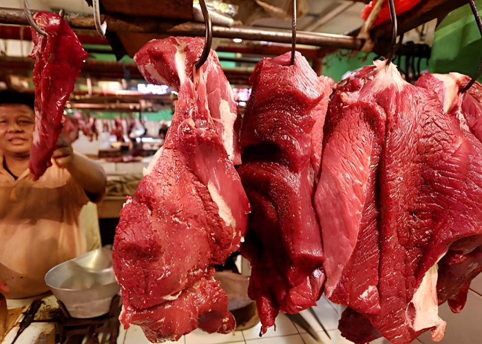 Pendistribusian Daging di Kota Bengkulu Diperketat Selama Ramadan