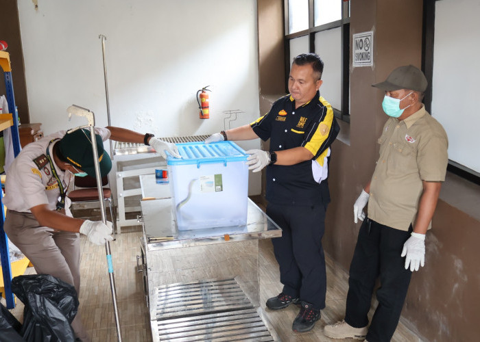 Ular Terbang Disamarkan Sebagai Obat Herbal, Balai Karantina Bengkulu Gagalkan Pengiriman Ilegal di Bandara