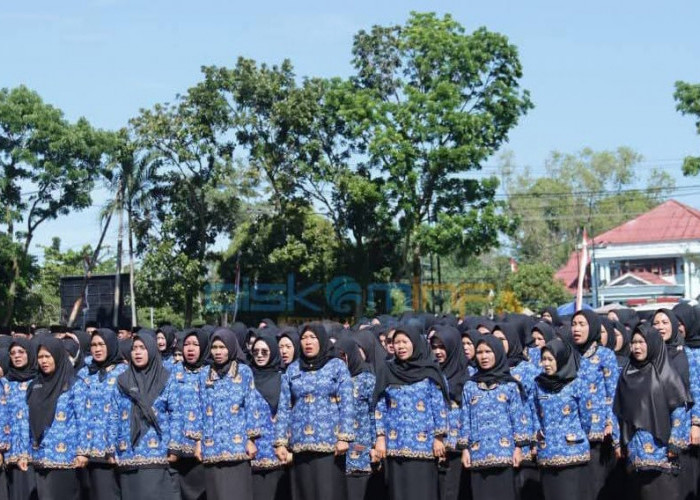 Status Jadi ASN, Gaji PPPK Paruh Waktu di Bengkulu Selatan Masih Setara Honorer