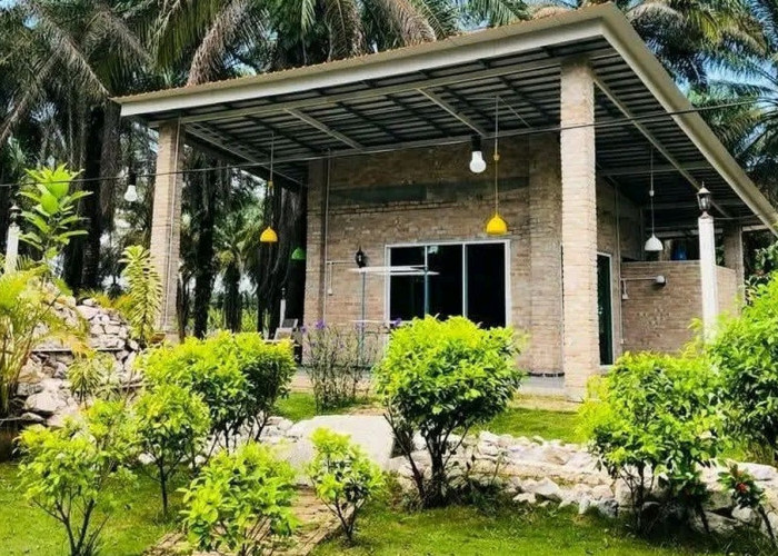 Viral Hunian Untuk Gen Z yang Ingin Hidup Santai, Makan 3 Kali Sehari Tanpa Perlu Kerja 