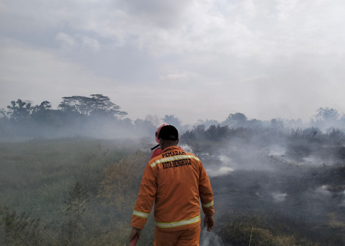 Puluhan Hektare Lahan di Bengkulu Terbakar