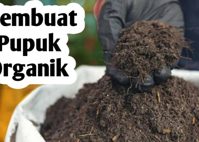 Cara Mudah Membuat Pupuk Organik yang Sehat dan Aman