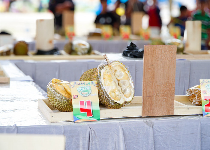 Durian Jadi Potensi Lokal Kebanggaan Provinsi Bengkulu