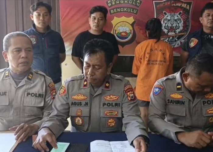 Ini Dia Alasan Oknum Mahasiswi Asal Lebong Gadaikan 8 Motor Teman 