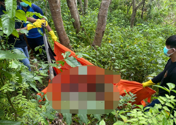 Polisi Resmi Tutup Kasus Mayat Gantung di Kebun Karet Betungan, Dipastikan Murni Bunuh Diri