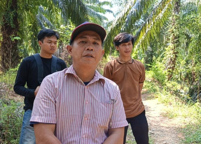  Petani Pagar Gading Segera Nikmati Jalan PISEW, Biaya Angkut Sawit dan Padi Dipastikan Turun