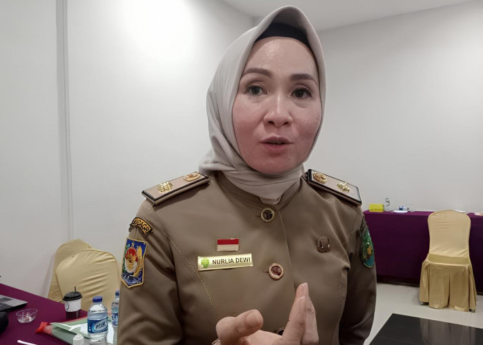 Capaian PAD dari PBB Tak Capai Target, Bapenda Kota Bengkulu Upayakan hingga 50 Persen