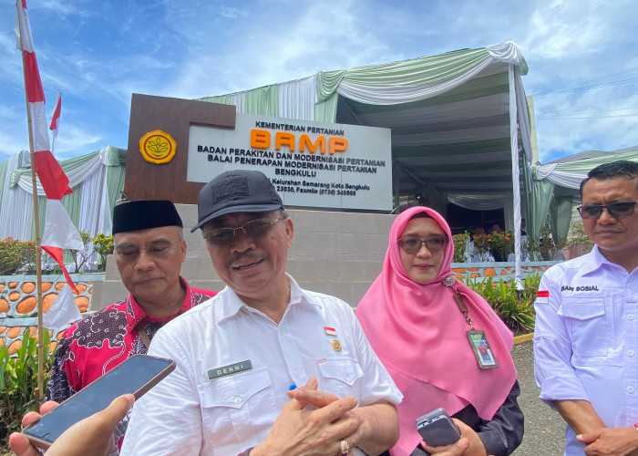 Pemprov dan BRMP Dorong Petani Bengkulu Lakukan Modernisasi Pertanian Guna Percepat Swasembada Pangan 