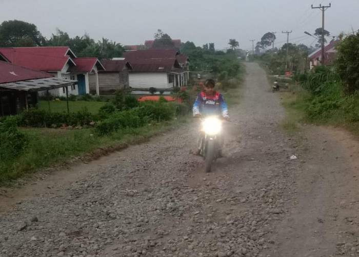 25 Tahun Jalan Provinsi di Rejang Lebong Tak Diperbaki, Begini Kondisinya