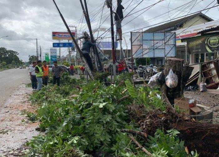 Plt Gubernur Bengkulu Imbau Warga Waspada Hadapi Cuaca Ekstrem, Kurangi Aktivitas Diluar Rumah 