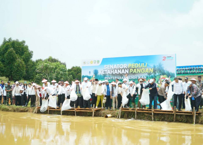 Dihadapan Wamentan dan Ketua DPD RI, Wagub Mian Sebut Produktivitas Jagung Bengkulu Lampaui Rata-Rata Nasional