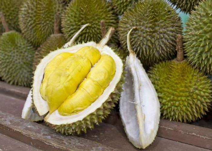 Penggemar Durian Wajib Tahu! Kandungan Nutrisi Durian Bagus bagi Kesehatan Tubuh