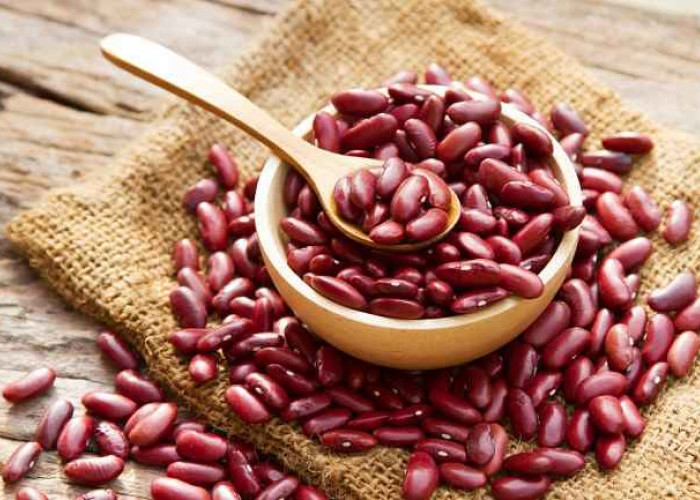 Segudang Manfaat Kacang Merah yang Perlu Kamu Tahu