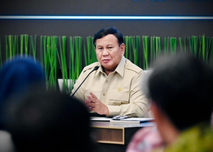  Presiden Bentuk Badan Gambut dan Mangrove Perkuat Pencegahan Karhutla