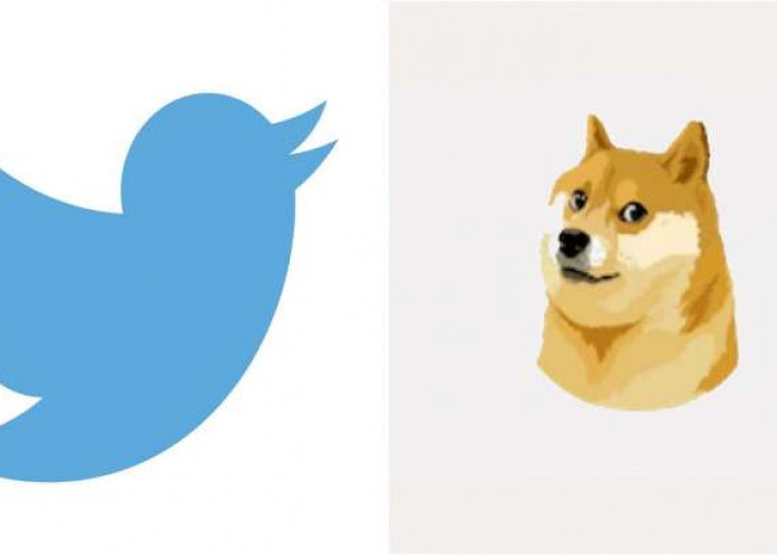 Elon Musk Ganti Logo Twitter dengan Dogecoin, Harga Doge Melesat