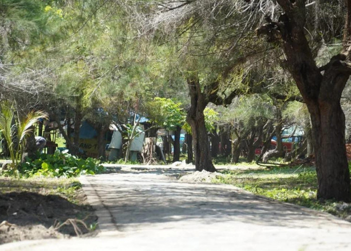 Pemkot Bengkulu Tata Ulang Area Jogging Track Pantai Panjang
