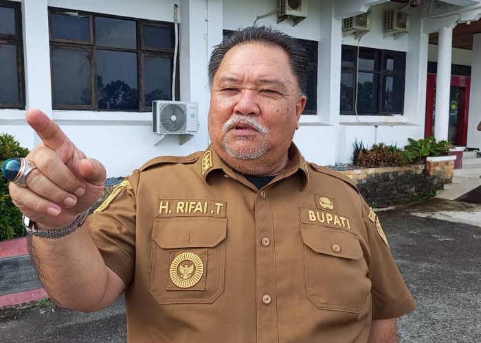  Kadis Perpustakaan Bengkulu Selatan Baru Dilantik, Kadis Dukcapil Menunggu