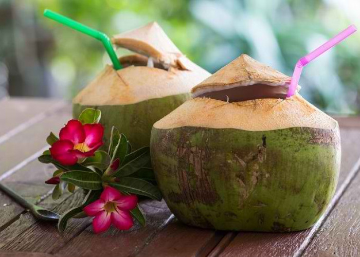 Khasiat dan Manfaat Air Kelapa Dibandingkan Minuman Lain