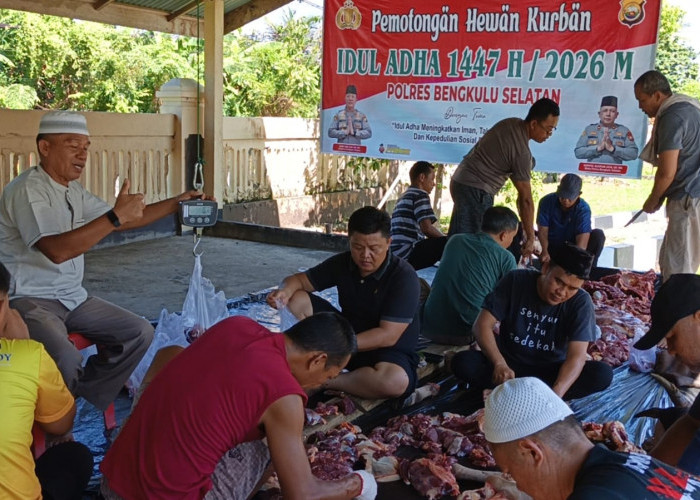Wujud Kepedulian Polri, Polres Bengkulu Selatan Sembelih 16 Ekor Sapi Kurban untuk Kaum Duafa