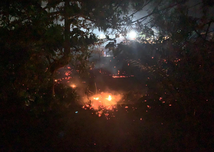 Kebakaran Lahan Landa Bengkulu, Masyarakat Hingga Kapolda Turun Tangan 