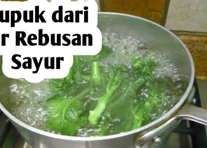 Manfaat Air Rebusan Sayur untuk Pupuk Tanaman