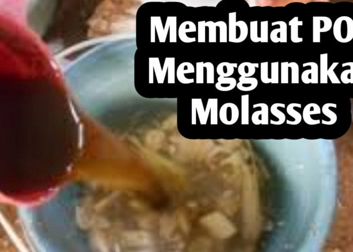 Ingin Membuat Pupuk Organik Cair dengan Menggunakan Molasses, Begini Caranya