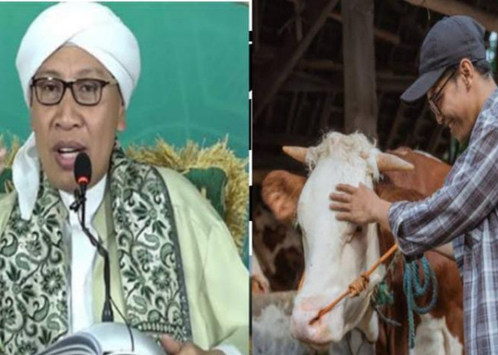 Bolehkah Berkurban Meskipun Saat Kecil Belum Aqiqah, Ini Kata Buya Yahya