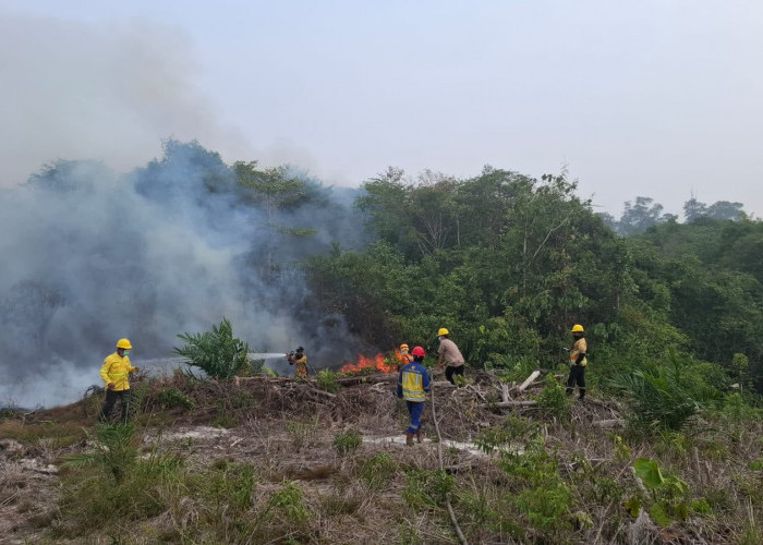 Hadapi Dampak El Nino, Kementerian PU Tangani Karhutla dan Kekeringan di 3 Provinsi