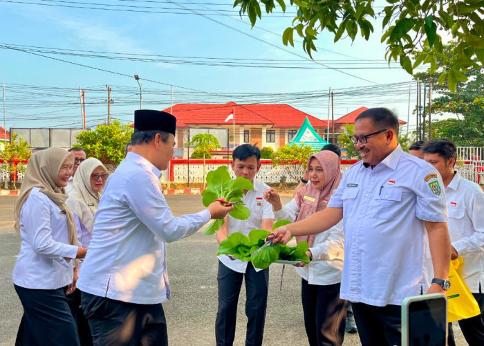 Pemprov Bengkulu Dorong OPD Sulap Lahan Kantor Jadi Kebun Produktif, Dinas Ketahanan Pangan Jadi Percontohan