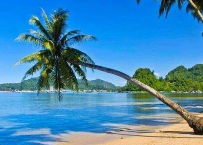 Pantai Seribu Pohon Kelapa, Nikmati keindahan ala Venice Beach Ala Los Angeles di Sumatera Barat
