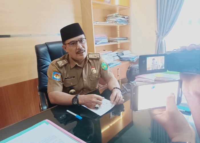 Hasil Seleksi CPNS Kota Bengkulu Sudah Keluar, Cek Namamu Disini 