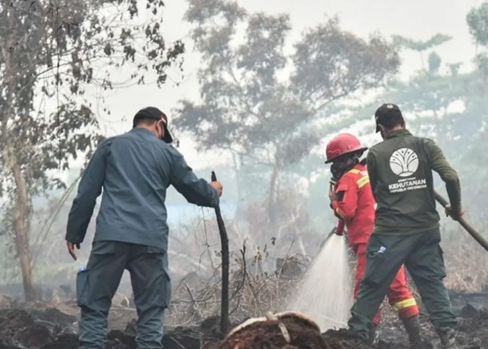 Karhutla Tak Kunjung Padam Sejak Agustus, Pemerintah Kerahkan Satgas Darat dan Udara