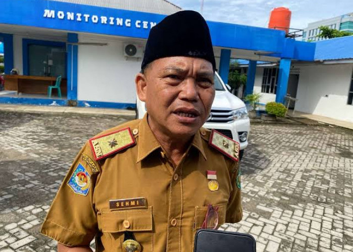 Pemkot Bengkulu Minta OPD Cek dan Rawat Pohon Kelapa yang Ditaman di Pantai Panjang