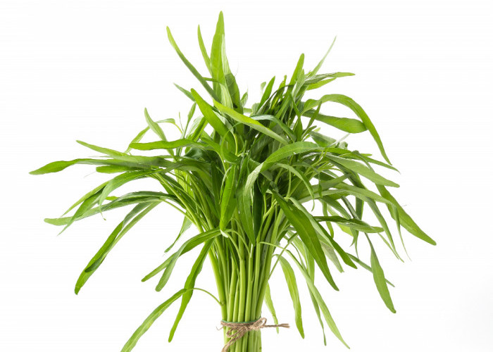 Sayur Kangkung, Sayuran Biasa Tapi Manfaatnya Luar Biasa