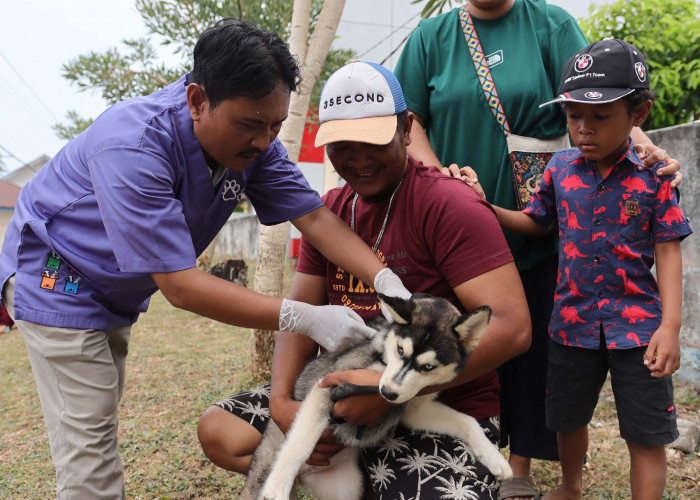 Gencarkan Vaksinasi Rabies, Cegah HPR