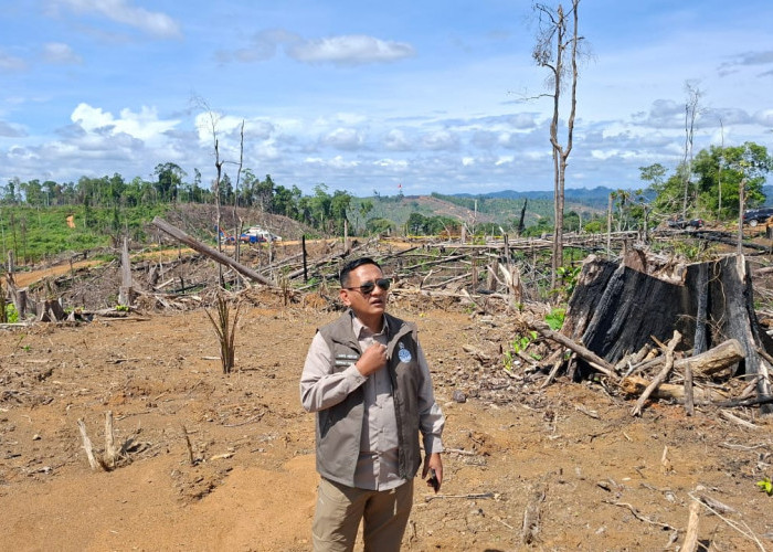 Kemenhut: Gajah Sumatera di Bentang Sebelat Terdesak Perambah, Tersisa 25 Ekor