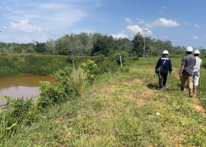 DLH Seluma Tantang PT SSL Lepas Ikan di Kolam Limbah Terakhir