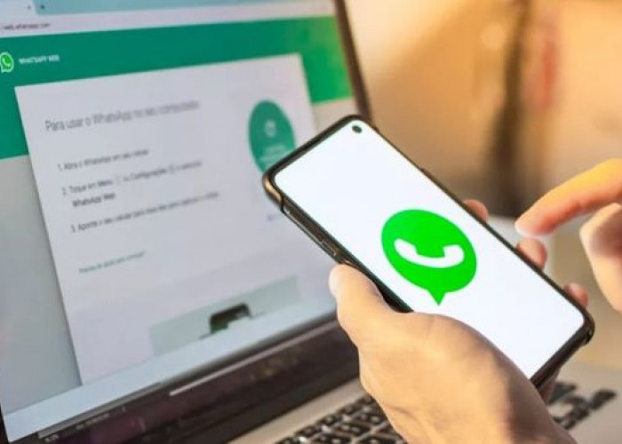 Begini Cara dan Langkah Mudah Download Status WhatsApp Tanpa Aplikasi 