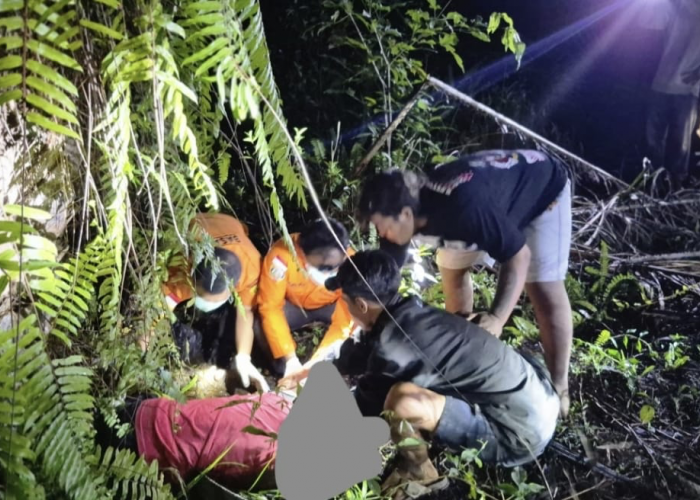 Penemuan Mayat di Area Sawit Desa Kota Praja, Diduga Pencari Brondolan Asal XIV Koto