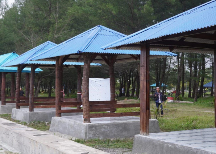 Pemkot Bengkulu Pastikan 30 Gazebo di Pantai Panjang Gratis 