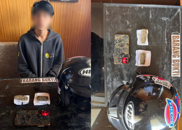 Transaksi Ganja Berujung Penangkapan, Remaja di Bengkulu Diciduk, Bandar Narkoba Masih Buron