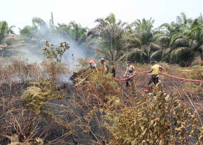 Lahan 700 Meter Terbakar di Ujung Padang, Kapolres Mukomuko Warning Warga Tak Bakar Lahan