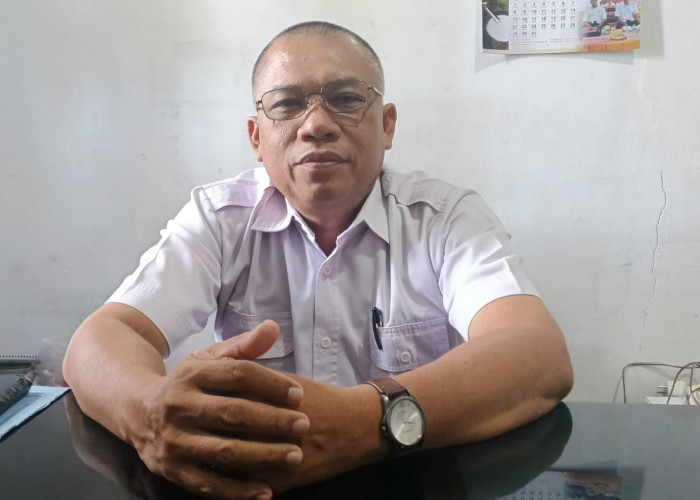 Dinas Perkebunan Bengkulu Utara Kejar Target Pendataan 1.500 Hektare Lahan Kelapa di Enggano