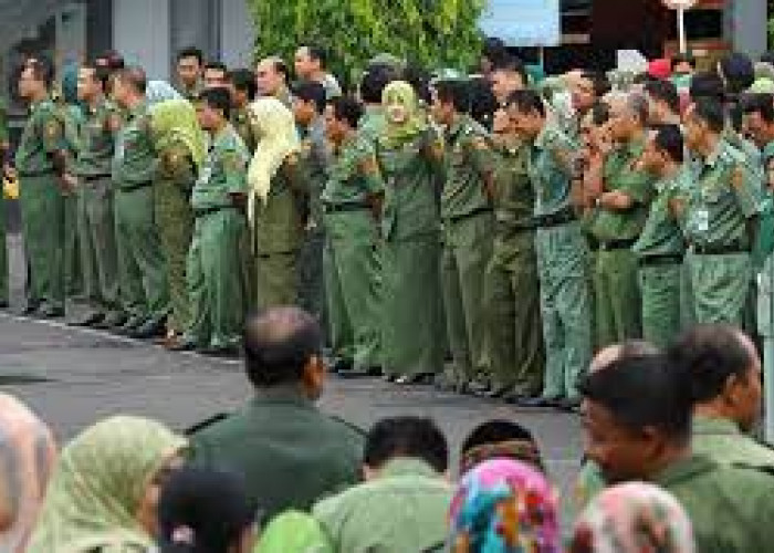 Nama-nama Honorer yang Diangkat PNS Langsung Tanpa Tes Provinsi Yogyakarta dan Jawa Timur
