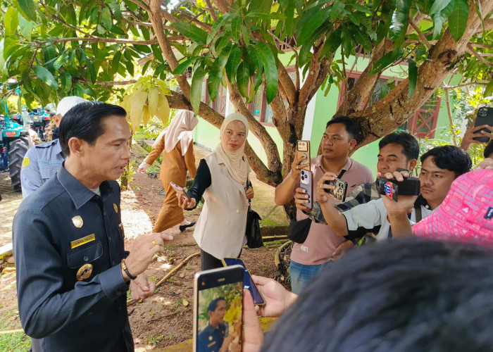 Target 2026 Tuntas, Bupati Kaur Perintahkan Satpol PP Sikat Ternak Liar