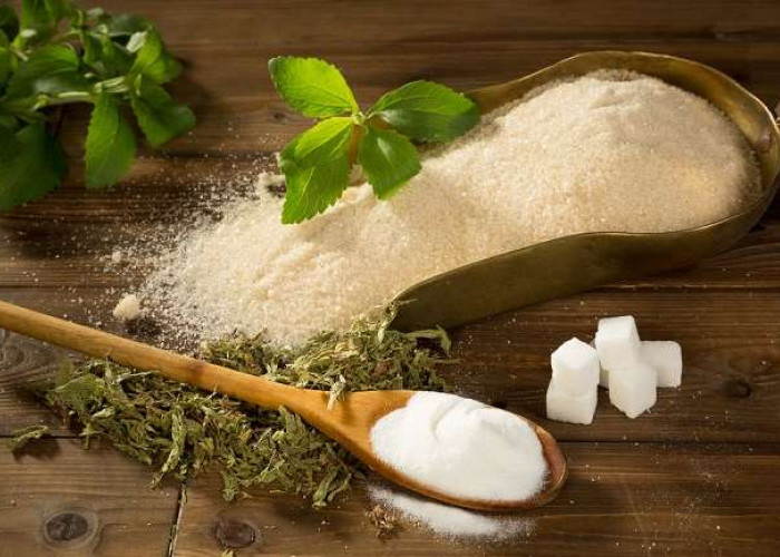 Ini Dia Manfaat Stevia sebagai Pengganti Gula
