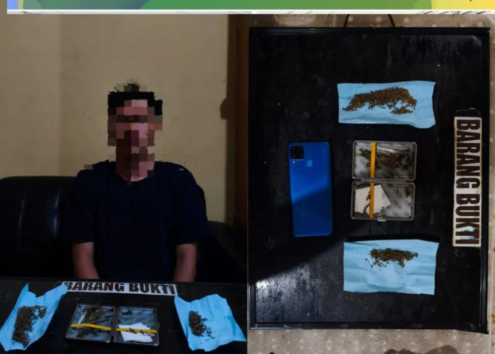 Diduga Edarkan Ganja, Pria di Sawah Lebar Ditangkap Polisi