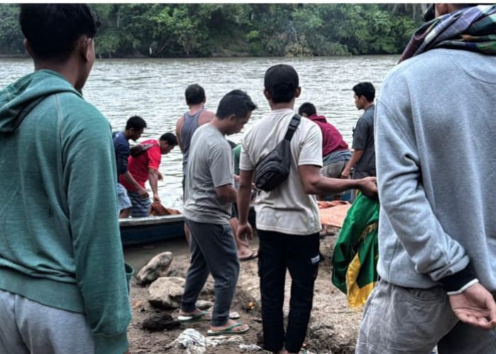 Hari Ketiga, Korban Hanyut di Sungai Ketahun Berhasil Ditemukan